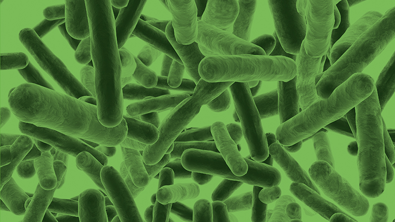 EN ISO 16266-2 – Detection of Pseudomonas aeruginosa Using MPN Method Test
