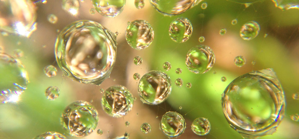ISO 10301 – Volatile Halogenated Hydrocarbons by GC Test