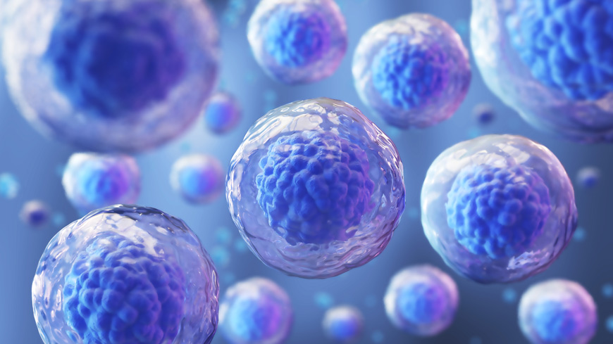 Ph. Eur. 5.10 – Guidelines on Cell-Based Products for Human Use