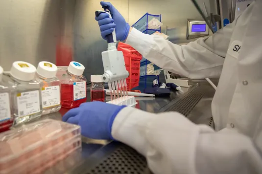 ICH M9 – Biopharmaceutics Classification System-Based Biotech Drug Waivers